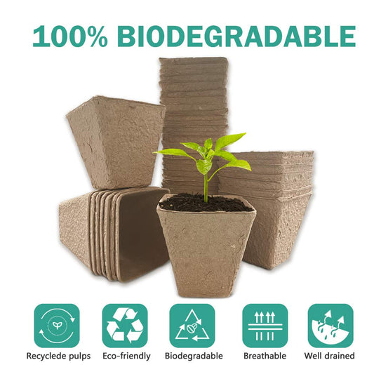8cm Biodegradable Garden Starter Cups